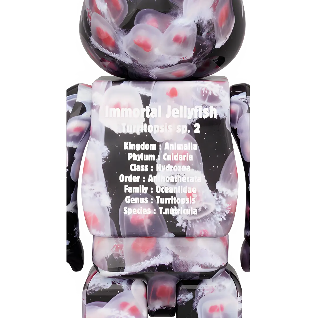 Bearbrick Immortal Jellyfish Turritopsis sp. 2 100%+400% Herstellerbild 4