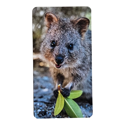 Bearbrick Series 46 "Quokka" 100% SECRET Begleitkarte