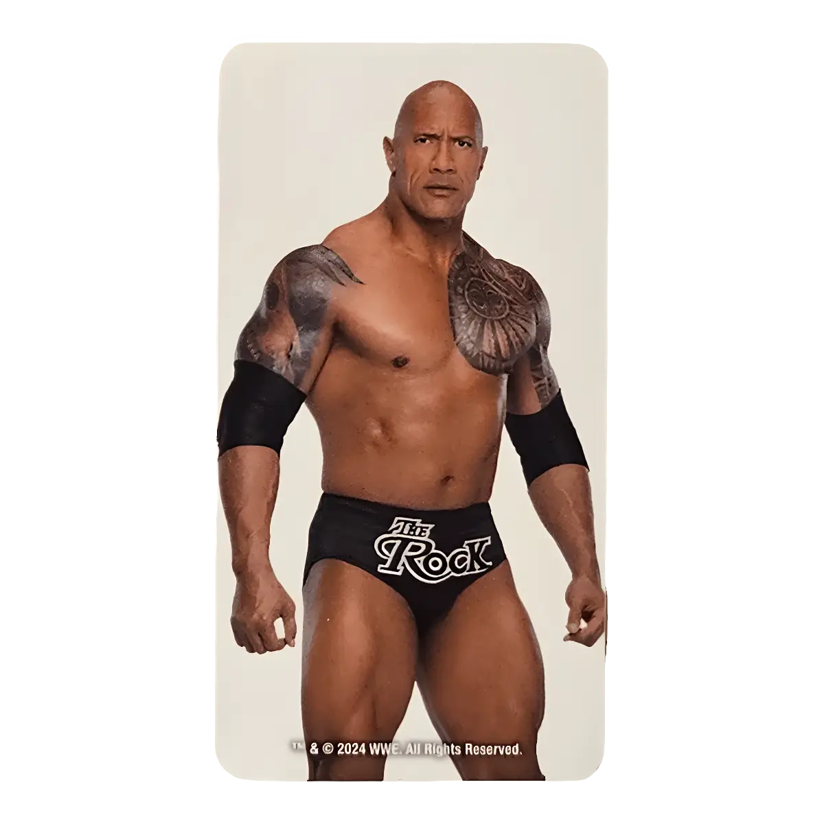 Bearbrick Series 48 Artist 'The Rock' [WWE] 100% Begleitkarte