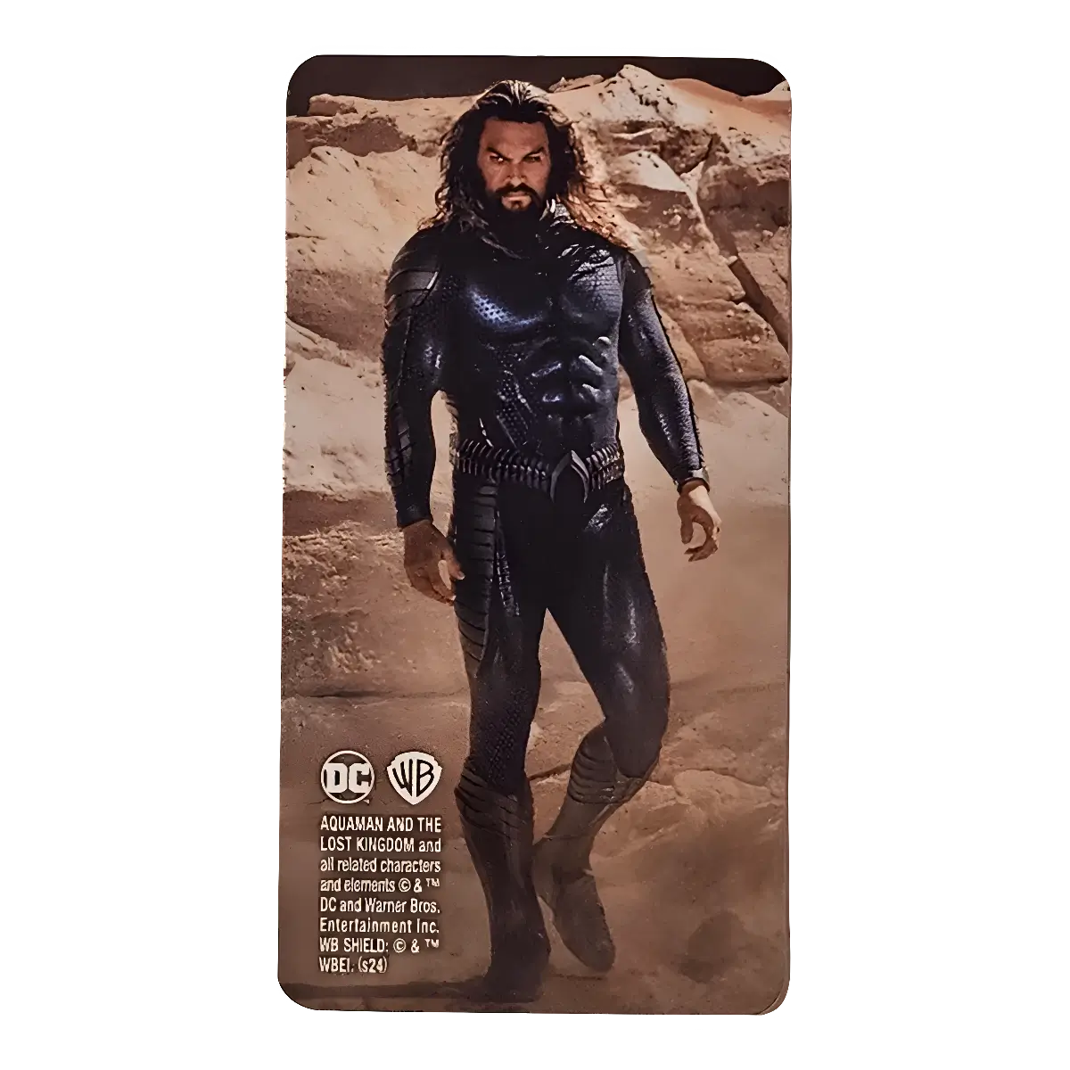 Bearbrick Series 48 Hero 'Aquaman' [Aquaman and the Lost Kingdom] 100% Begleitkarte
