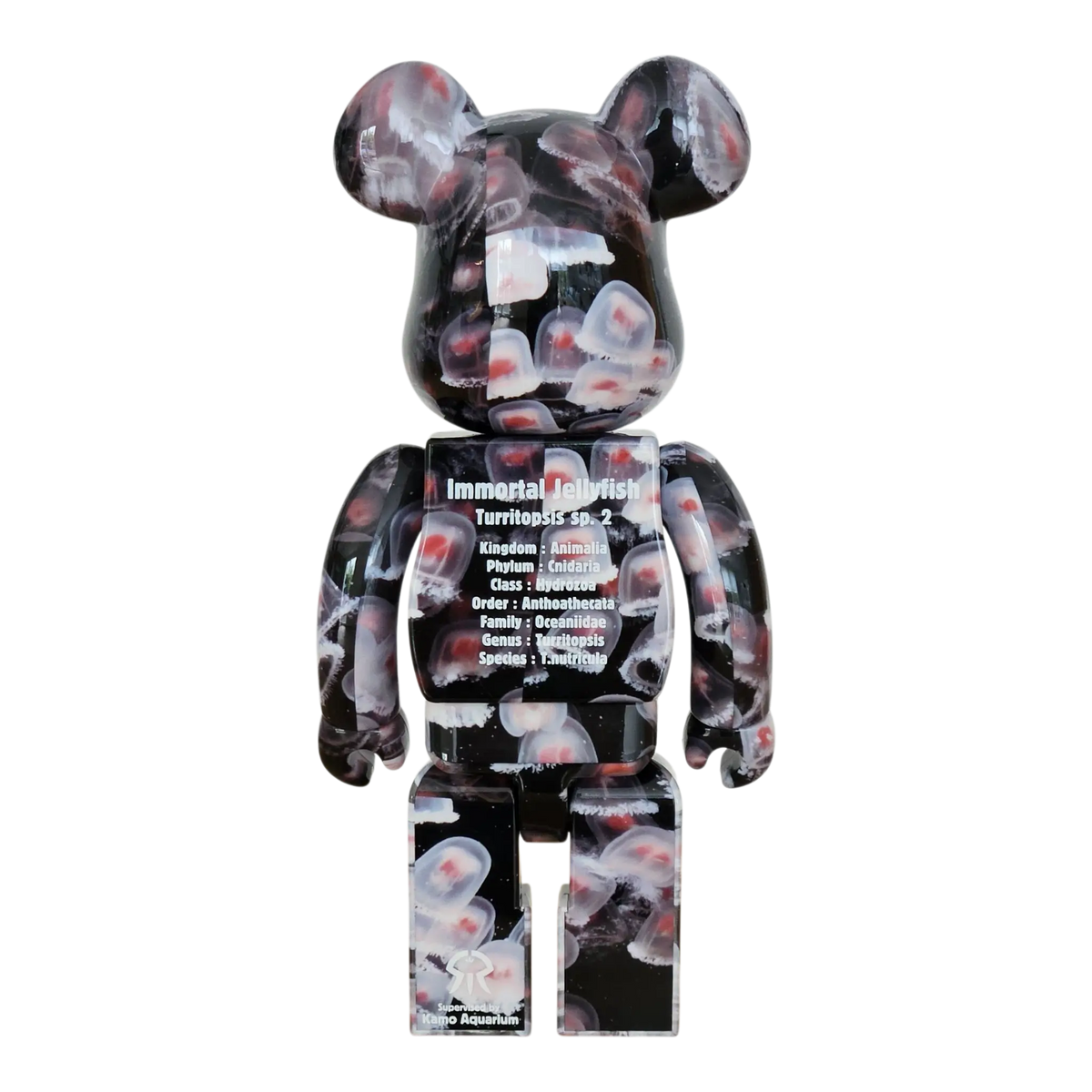 Bearbrick Immortal Jellyfish Turritopsis sp. 2 100%+400% Rückseite