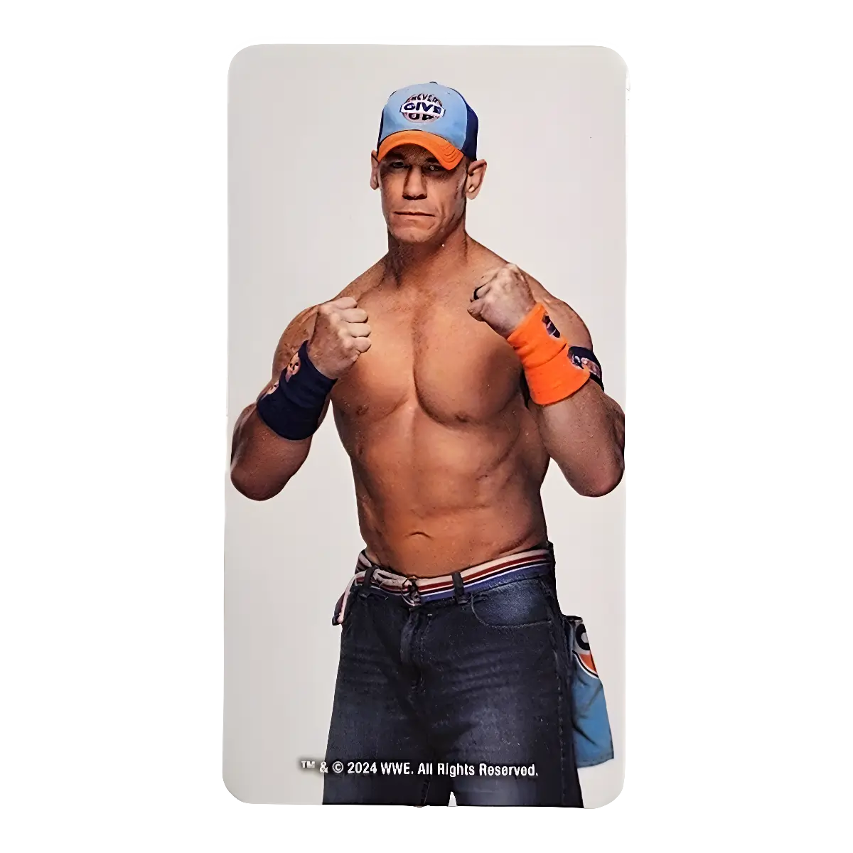 Bearbrick Series 48 Artist "John Cena" [WWE] 100% SECRET Begleitkarte