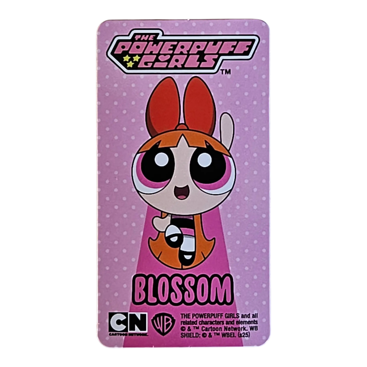 Bearbrick Series 50 Hero "Blossom" [Powerpuff Girls] 100% Begleitkarte