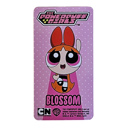 Bearbrick Series 50 Hero "Blossom" [Powerpuff Girls] 100% Begleitkarte